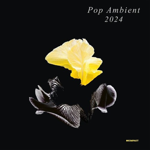 Various Artists: Pop Ambient 2024 -LP