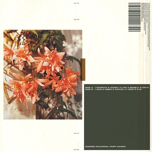 Popp Polygonia: Candid -LP