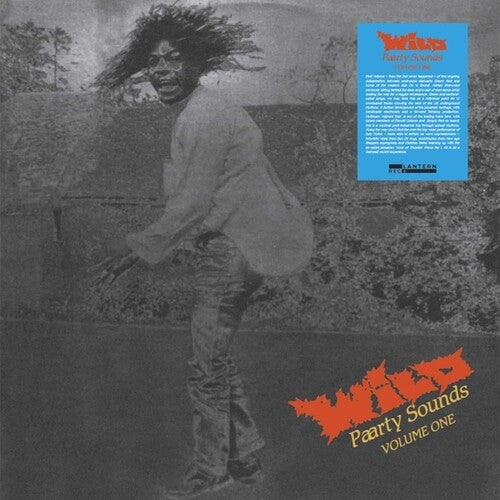 Various Artists: Wild Paarty Sounds, Vol. One - (VINYL LP)