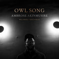 Ambrose Akinmusire: Owl Song - (VINYL LP)