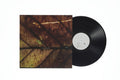 Pay Money to My Pain: gene - (VINYL LP)