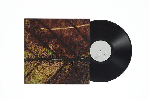 Pay Money to My Pain: gene - (VINYL LP)