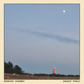 Dougie Poole: Wideass Highway - (VINYL LP)