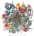 Nathaniel Riley: Bird Songs - (VINYL LP)