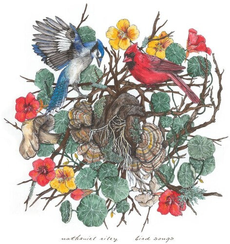 Nathaniel Riley: Bird Songs - (VINYL LP)