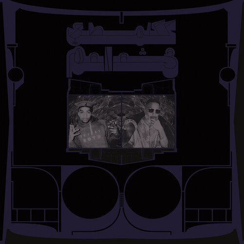 Shabazz Palaces: Exotic Birds of Prey - (VINYL LP)