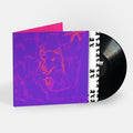 Dehd: Poetry - (VINYL LP)