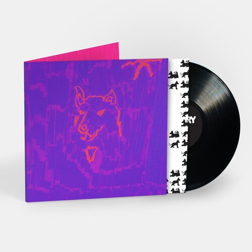 Dehd: Poetry - (VINYL LP)