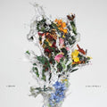Big/Brave: A Chaos of Flowers - (VINYL LP)