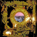 The Growlers: Hung At Heart - (VINYL LP)