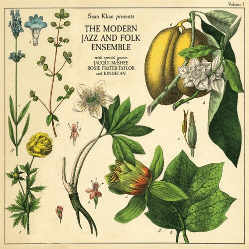 Sean Khan & The Modern Jazz & Folk Ensemble: Sean Khan Presents The Modern Jazz & Folk Ensemble - (VINYL LP)