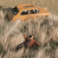 Lawrence Rothman: The Plow That Broke The Plains - (VINYL LP)