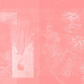 Pinkcourtesyphone: Arise In Sinking Feelings - CD