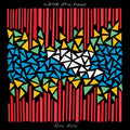 Rich Ruth: Water Still Flows - (VINYL LP)