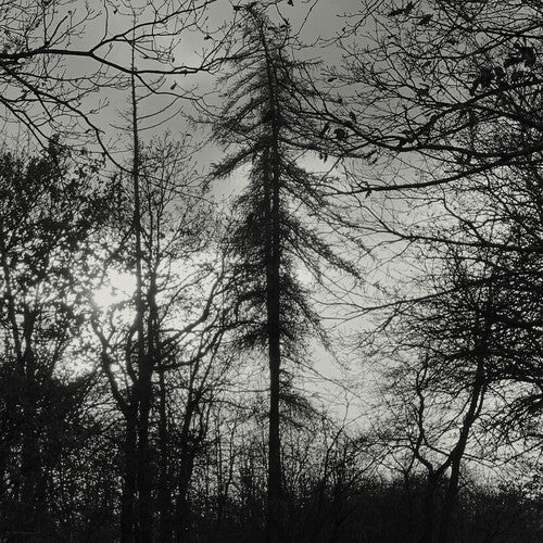 Curse All Kings: Feral Earth - (VINYL LP)
