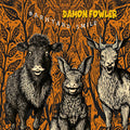 Damon Fowler: Barnyard Smile - CD