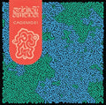 Addict Ameba: Caosmosi - (VINYL LP)