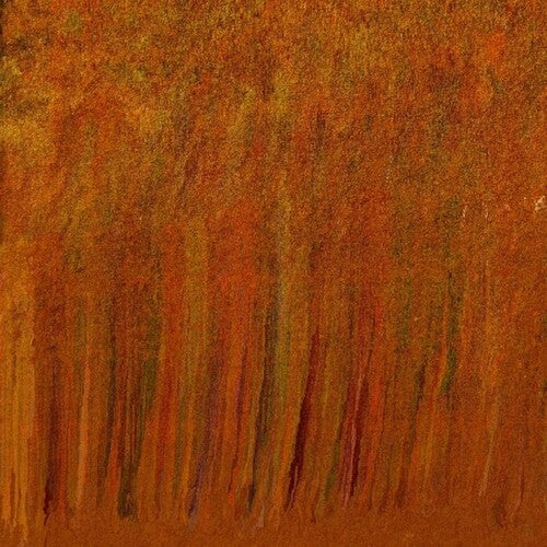 Peter Van Hoesen: Towards The Center Of Time And Surrounded By Spirits - (VINYL LP)