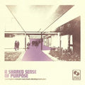 Warrington-Runcorn New Town Development Plan: Shared Sense Of Purpose - Baby Pink Vinyl - 12-INCH SINGLE