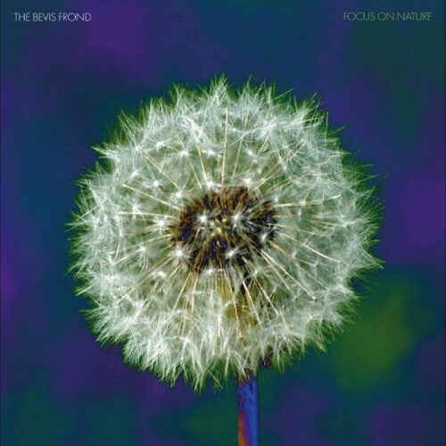 The Bevis Frond: Focus On Nature - (VINYL LP)