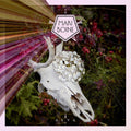Mari Boine: Alva - (VINYL LP)