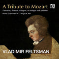 Vladimir Feltsman: A Tribute to Mozart - CD