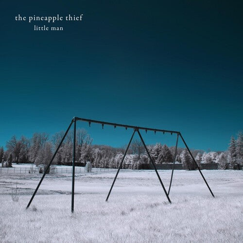 Pineapple Thief: Little Man - (VINYL LP)