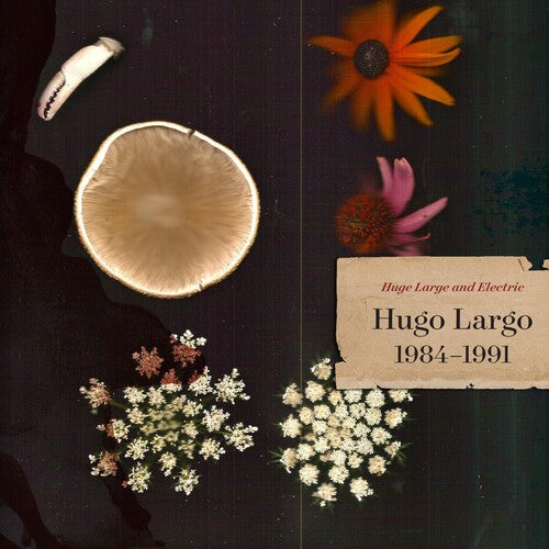 Hugo Largo: Huge Large And Electric: Hugo Largo 1984-1991 - CD