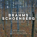 Sofia Melikyan: Brahms: Piano Trio No.1; Schoenberg: Verklarte Nacht - CD