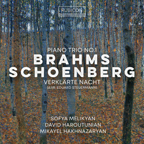 Sofia Melikyan: Brahms: Piano Trio No.1; Schoenberg: Verklarte Nacht - CD
