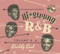 Various Artists: Hi Strung R&B 6: Daddy Cool - CD