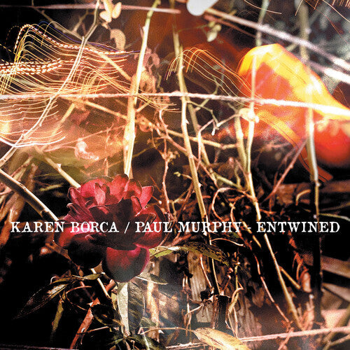 Karen Borca: Entwined - CD
