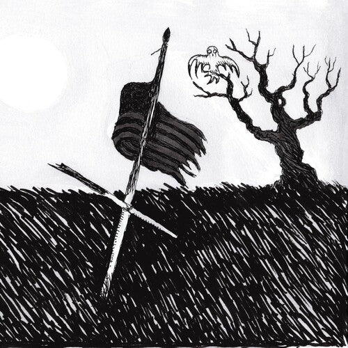 Drive-By Truckers: American Band - (VINYL LP)
