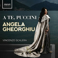 Puccini / Gheorghiu / Scalera: Te Puccini - (VINYL LP)