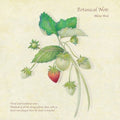 Akino Arai: Botanical Note - CD