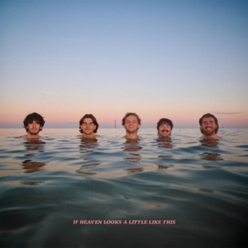 Delights: If Heaven Looks A Little Like This - Digipak - CD