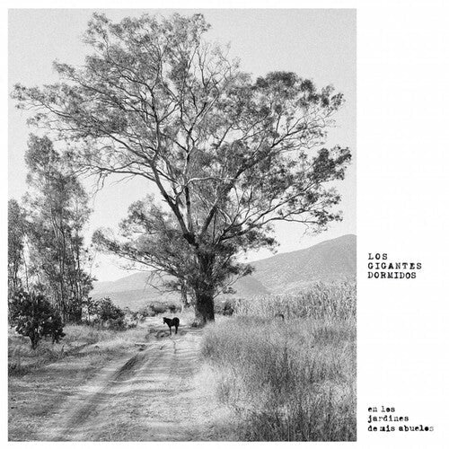 Gigantes Dormidos: Los Jardines De Mis Abuelos - (VINYL LP)