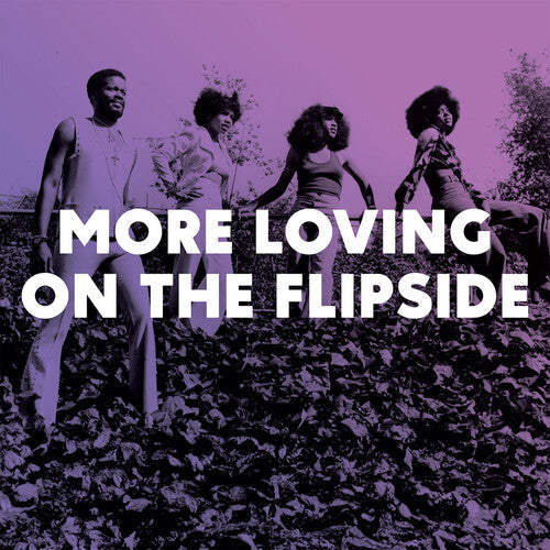 Various Artists: More Loving On The Flipside: Sweet Funk & Beat-Heavy Ballads 1968-1975 (Various Artists) - (VINYL LP)