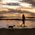 Noémi: Nostalgia - CD