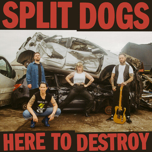 Split Dogs: Here To Destroy - CD
