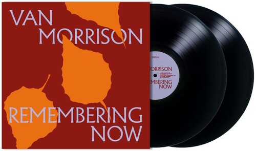 Van Morrison: Remembering Now - (VINYL LP)