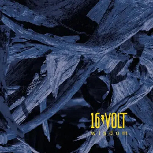 16Volt: Wisdom - (VINYL LP)
