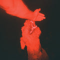 Eli Winter: A Trick of the Light - (VINYL LP)
