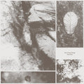 Park Jiha: All Living Things - (VINYL LP)