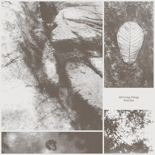 Park Jiha: All Living Things - (VINYL LP)