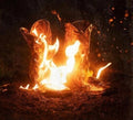 Ben Fuller: Walk Through Fire - (VINYL LP)