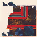 Grizzly Bear: Painted Ruins - (VINYL LP)