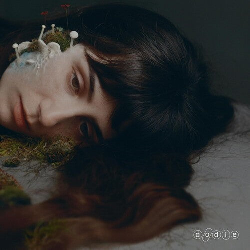 Dodie: Not For Lack Of Trying - (VINYL LP)
