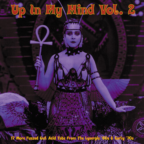 Various Artists: Up In My Mind Vol. 2: 17 More Fuzzed Out Acid Tabs From The Lysergic '60s & Early '70s (Various Artists) - (VINYL LP)