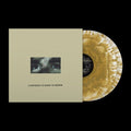 Citizen: Everybody Is Going to Heaven - 10 Year Anniversary Edition - (VINYL LP)